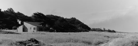 Sea Ranch by Janet O’Grady
