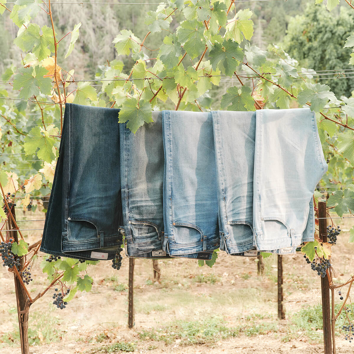 Men's Denim at AG Jeans Official Store Men's Denim at AG Jeans Official Store