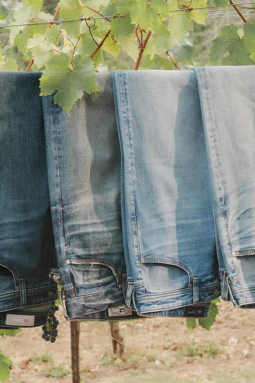 Stack of blue jeans hanging outdoors with green leaves in the background