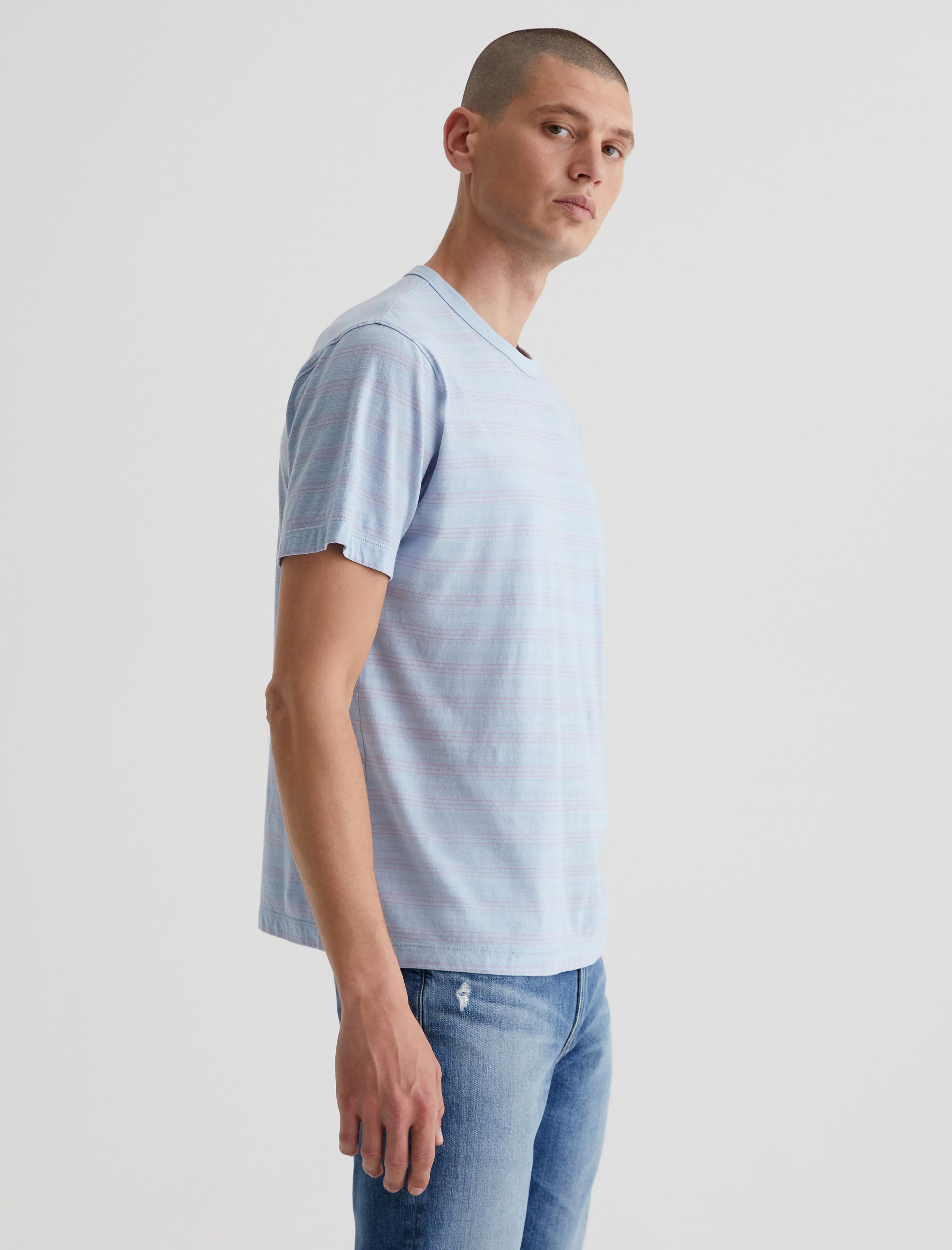Wesley Crew Terrace Stripe Freshwater/Violet Relaxed T-Shirt Men Top Photo 3
