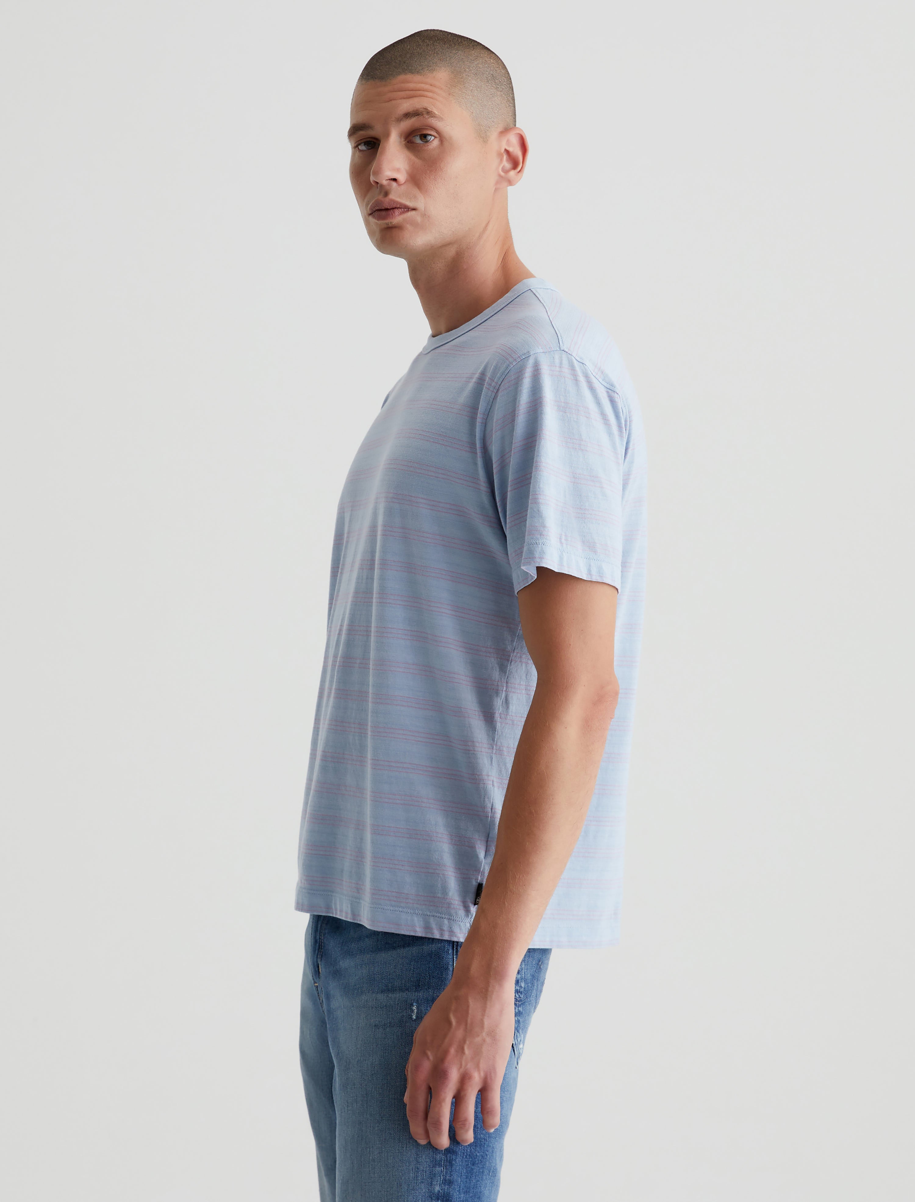 Wesley Crew Terrace Stripe Freshwater/Violet Relaxed T-Shirt Men Top Photo 4