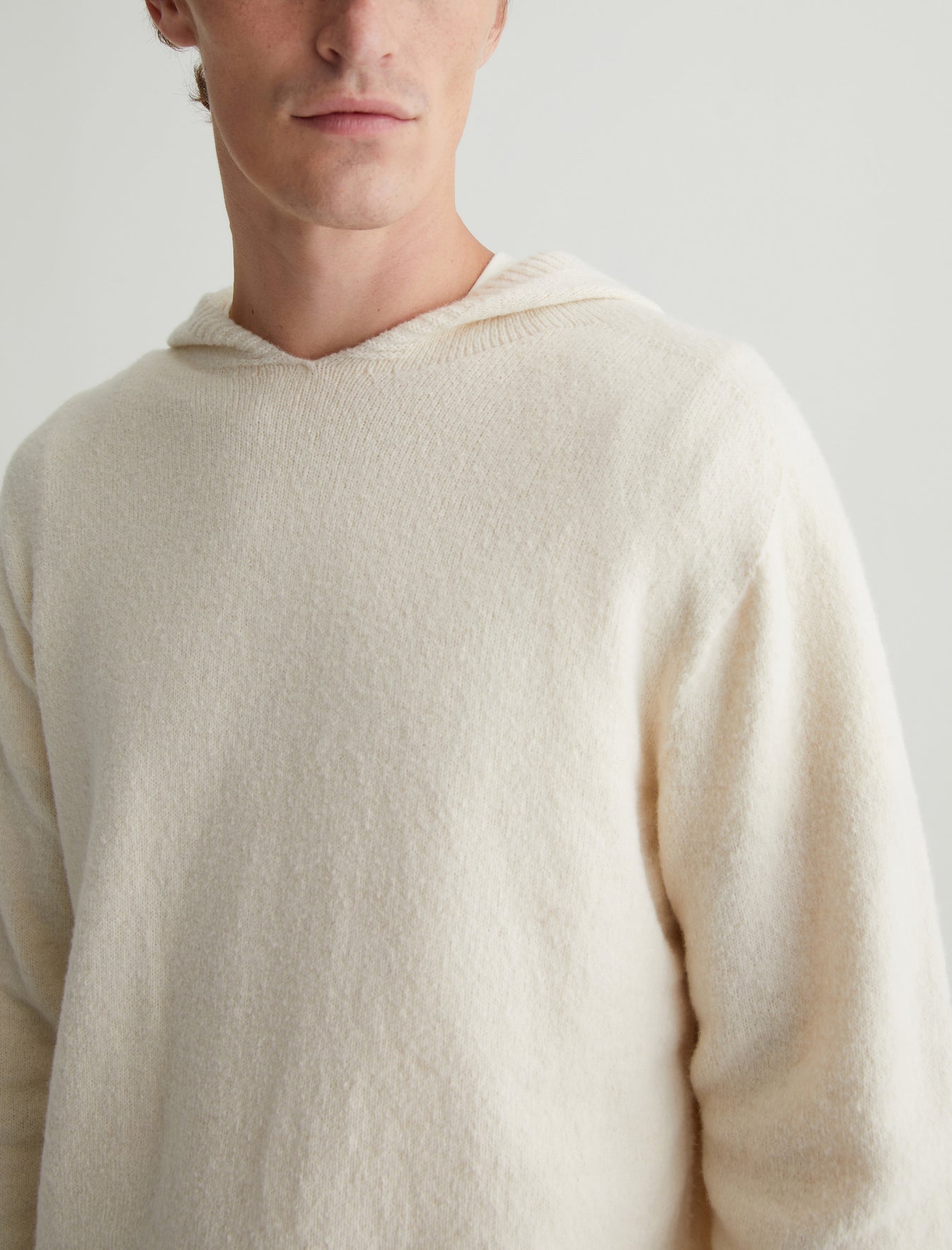 Cason Hoodie Ivory Dust Classic Hooded Sweater Photo 3