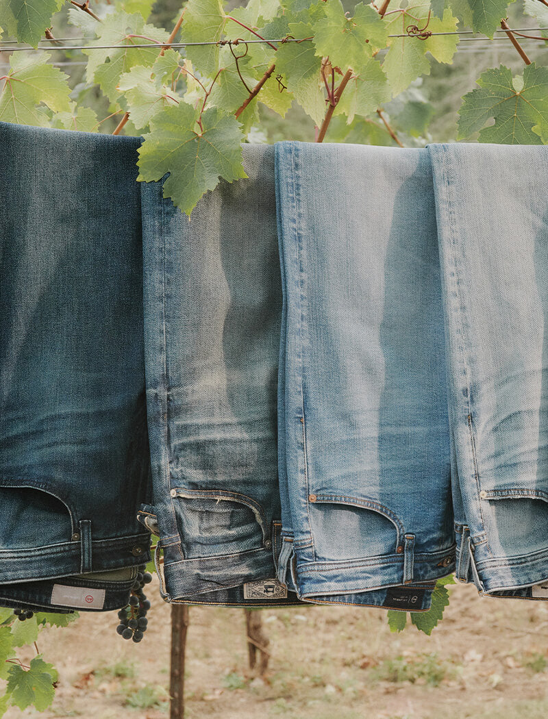 Three pairs of blue jeans hanging on a line with green leaves in the background